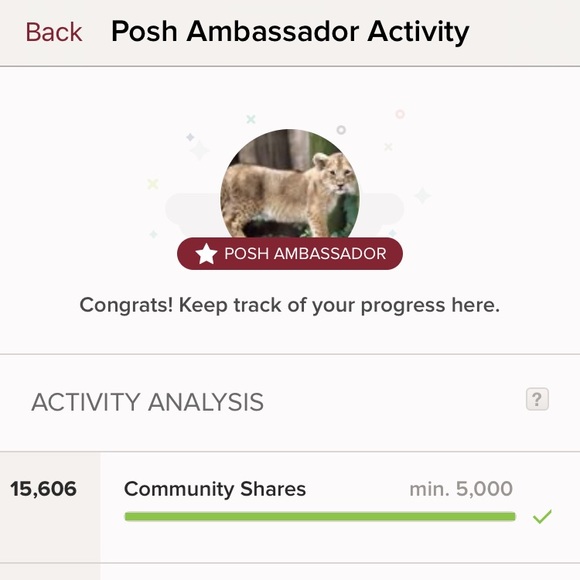 Add'l Pics $3 K Celine wicker trapeze - Picture 12 of 12